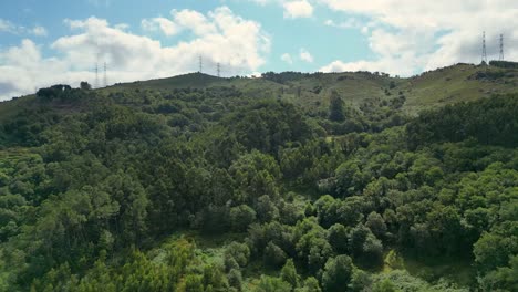 Toma-Aérea-De-Un-Paisaje-Forestal-Con-Drones-En-Serra-Da-Cabreira-Y-Gerês,-Alto-Minho,-Con-Cables-Eléctricos-De-Alta-Corriente-Al-Fondo