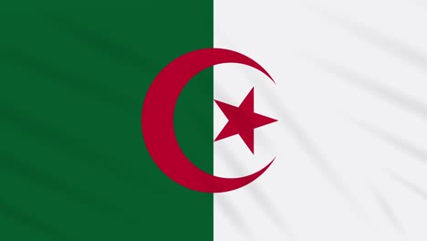 algeria flag waving cloth, background loop