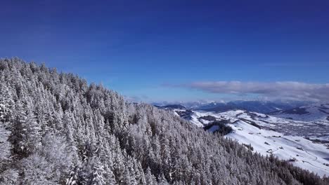 Bright-sun-shines-on-the-snow-and-tree-covered-slopes-of-Hundwiler-Hoehe,-aerial-push