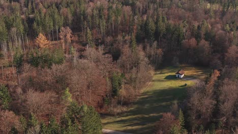 A-lonely-house-in-the-middle-of-an-autumnal-forest---tilt-up-reveal-drone-shot