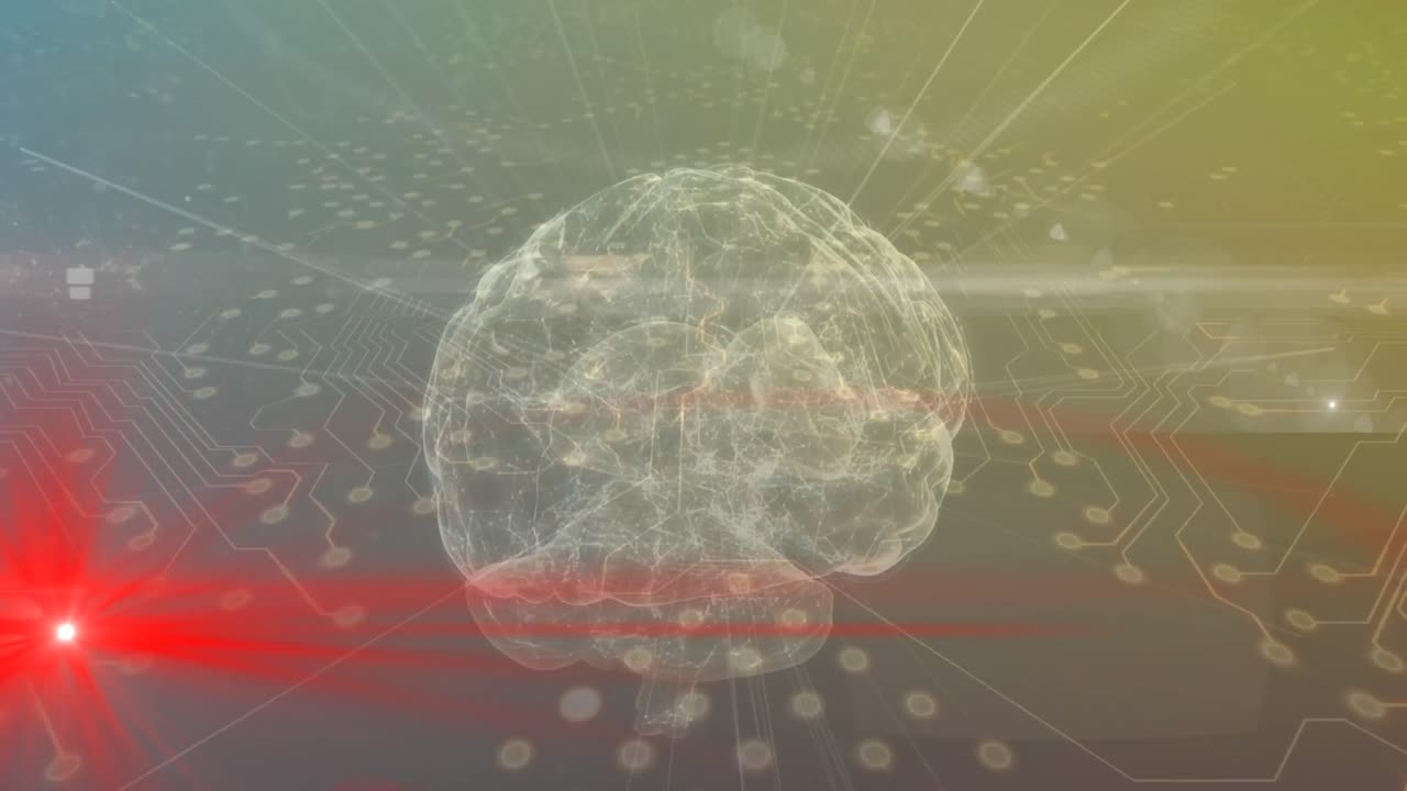 연결의 애니메이션과 뇌를 통해 데이터 처리