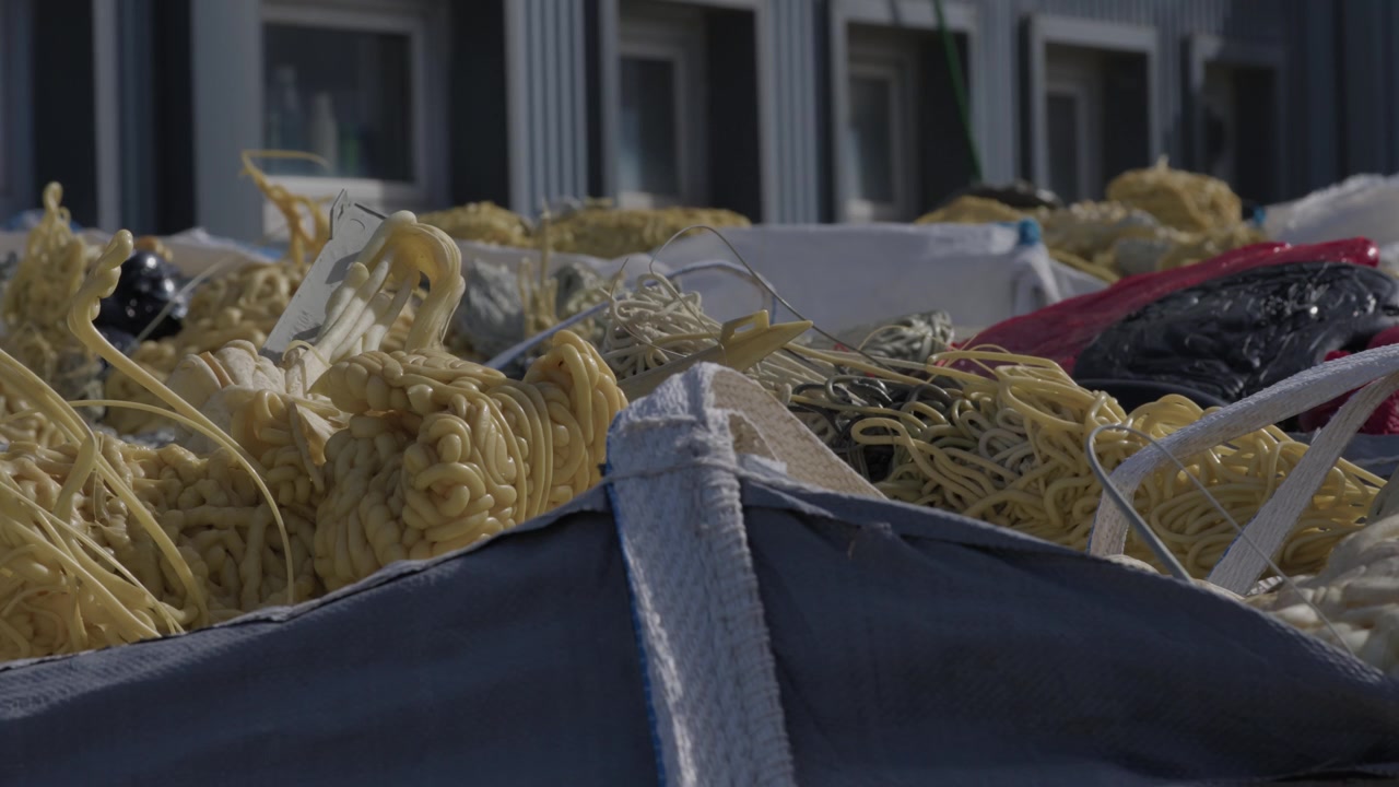 Gomitoli aggrovigliati di filamenti di plastica gialla e pezzi di plastica nera traboccano da sacchi sfusi in un impianto di riciclaggio.