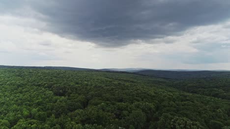 Cinematic-Shot-Of-Wild-Green-Forest-Under-Cloudy-Sky,-Romania