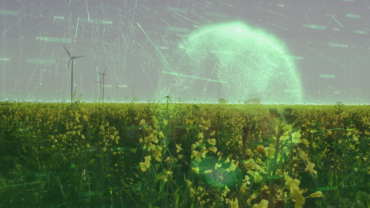 Canola field animating with wind turbines turning and green data overlays streaming in flat design