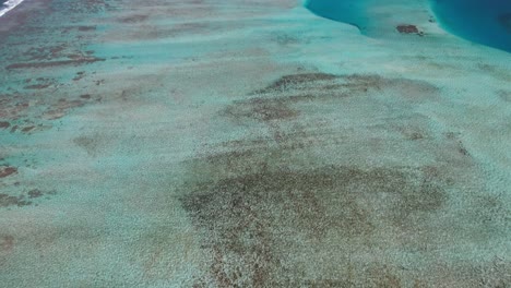 Inclinación-Aérea-Que-Revela-Una-Barrera-De-Coral-Plana-En-Los-Roques,-Serenas-Aguas-Azules-Bajo-El-Sol.