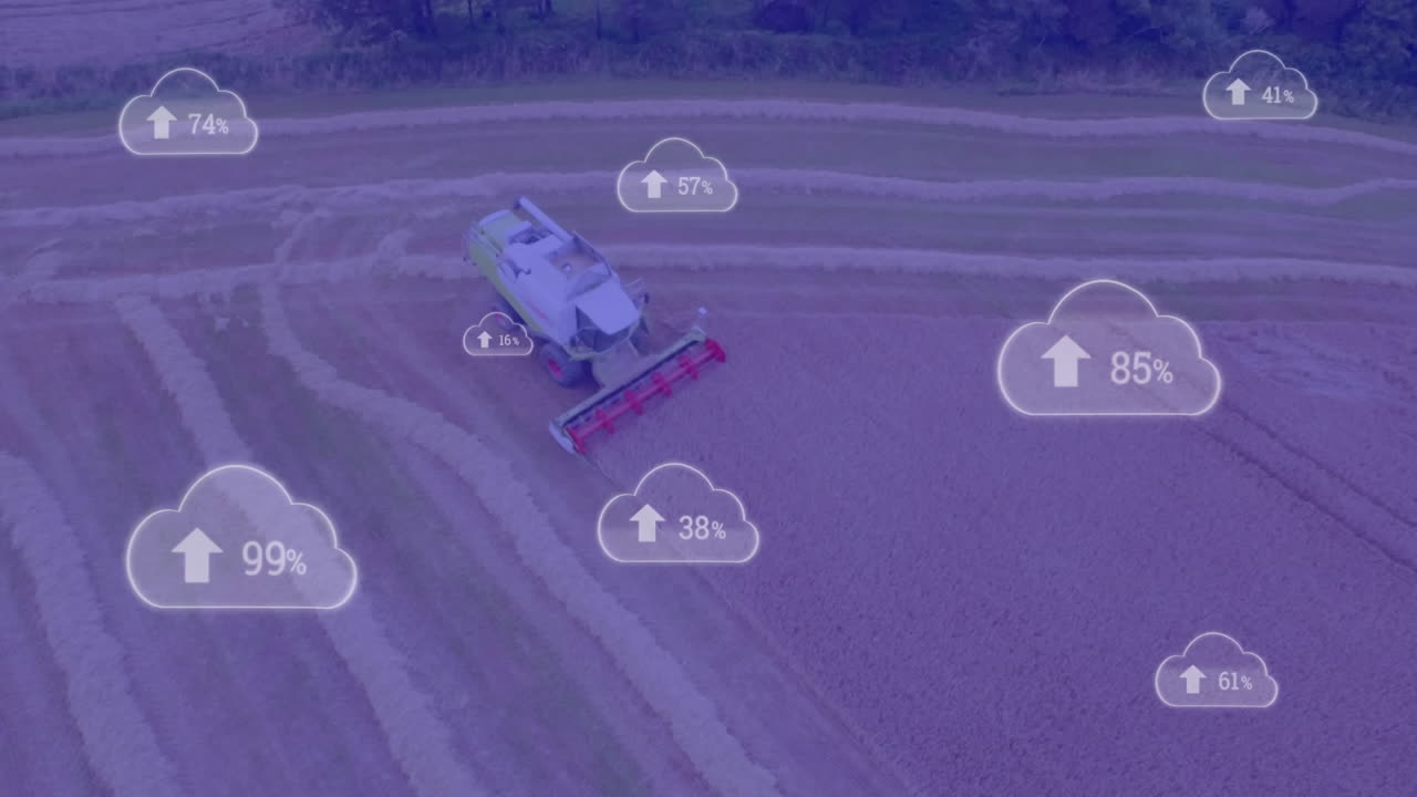 필드 위의 비율을 가진 구름의 애니메이션