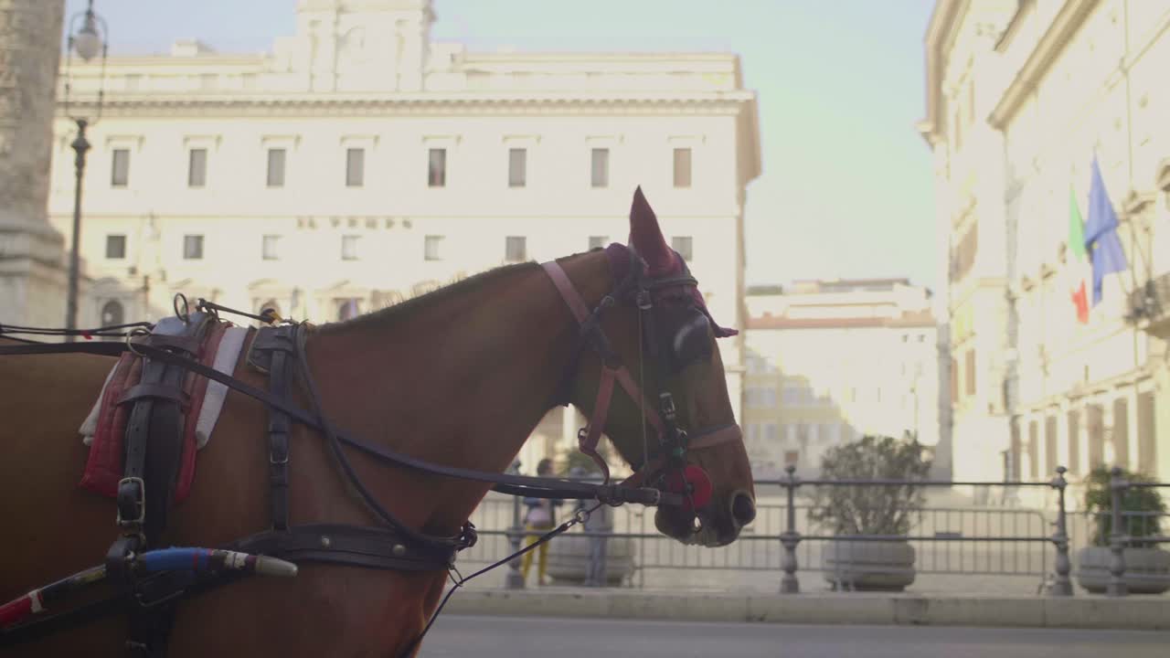 로마에서 마차를 끄는 마차