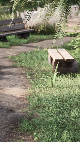 un banco de madera se sienta en un camino de hierba en un bosque