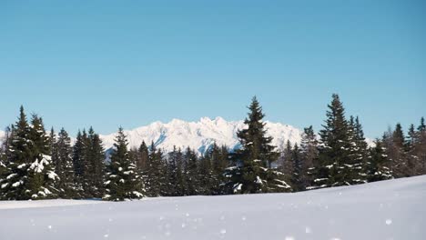 snowy mountain landscape, with trees, and good weather