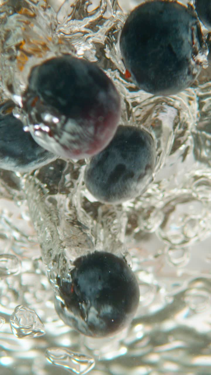 물에 넣은 블루베리