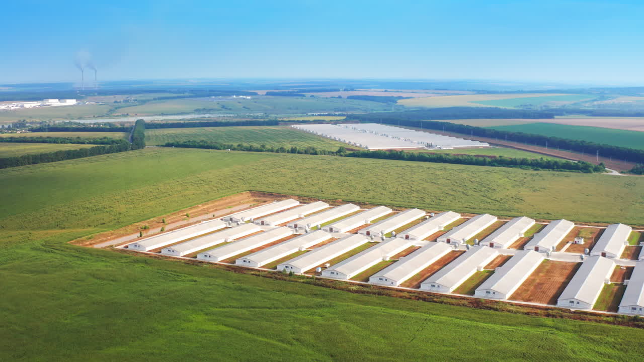 Aerial View of a Modern Poultry Farm