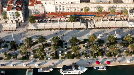 split main waterfront walkway, palms and architecture, dalmatia, croatia - aerial top down