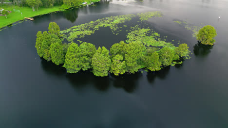 aerial orbit over green treetops clustered in still, glassy water as birds soar in open air
