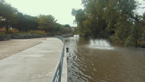 looking at the water in the park