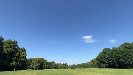 Parque-De-Verano-Con-Cielo-Azul-Y-Espacio-Para-Copiar