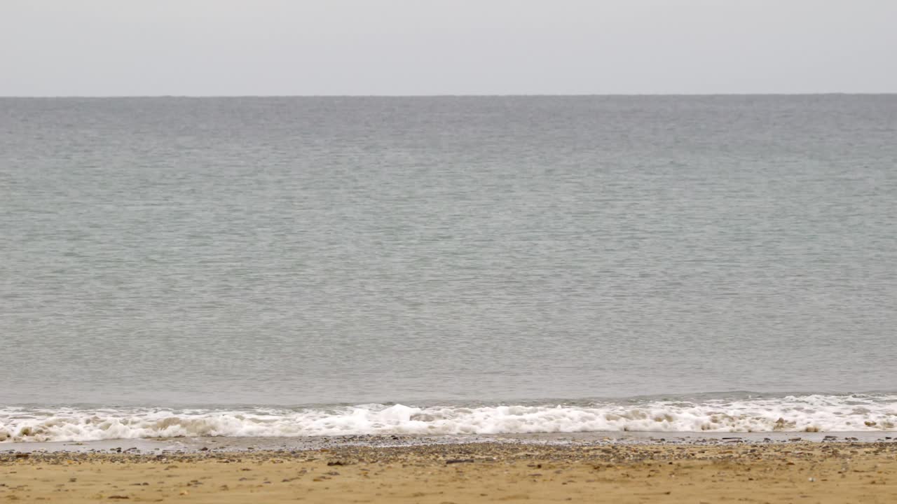 바다는 조류와 함께 들어옵니다.