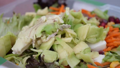 mixed salad with chopped avocado