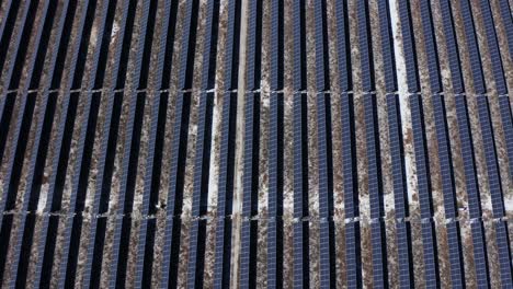 Aerial-view-of-solar-panels-stand-in-a-row-in-the-fields-green-energy-landscape-electrical-power-ecology