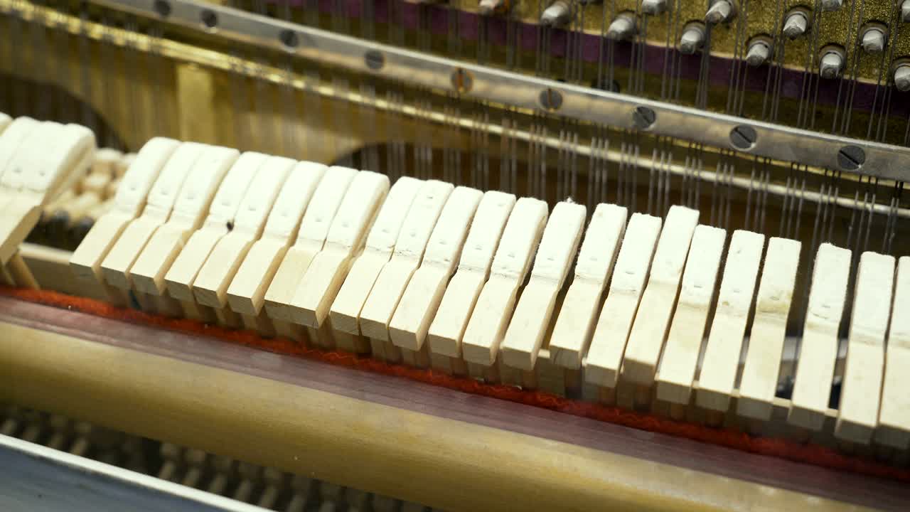 음악 악기의 작동 원칙.