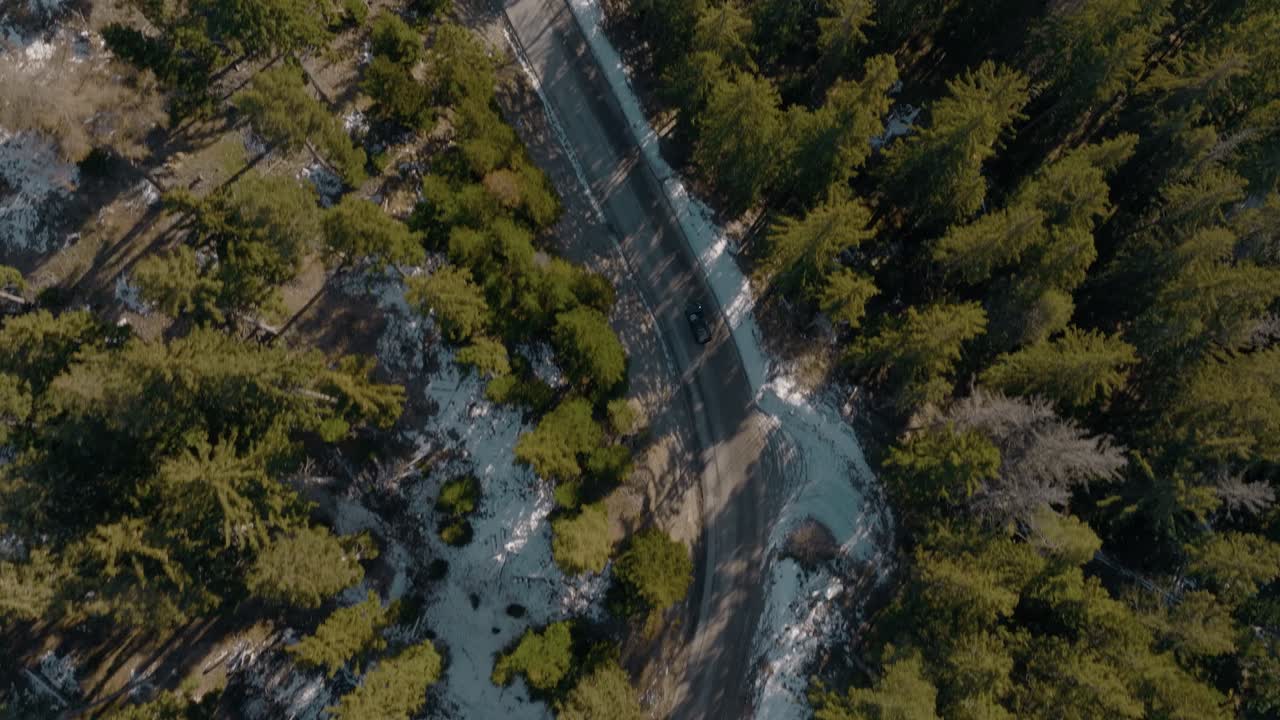 antena de arriba hacia abajo siguiendo a un aventurero vehículo todoterreno negro conduciendo rápido a través de la naturaleza exuberante bosque de pinos en invierno con nieve en el suelo