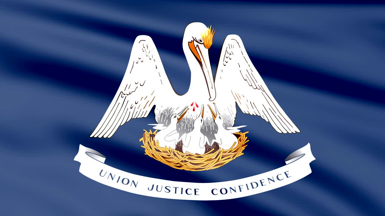 Grande Bandiera Animata della Louisiana in Loop