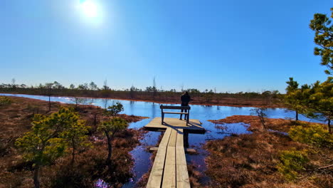 boardwalk wooden pathway on a pond with a woman standing on a dock - aerial flyover