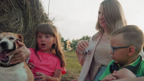 close up of family playing with their dog, bursting with warm laughter, children and mother share joyful moment outdoors near hay bale during sunset