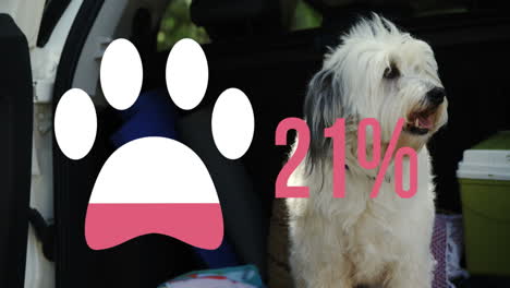 icono de la pata con un porcentaje creciente contra el perro sentado en la parte trasera de un coche