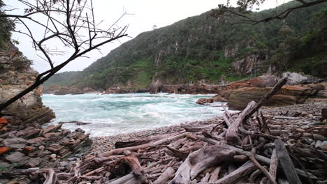 Driftwood washed up on rocky beach at Storms River Mouth, Tsitsikamma. Riser