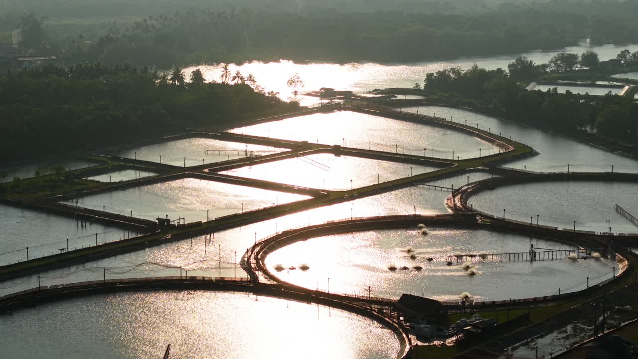 Aerial View of a Fish Farm with Rectangular and Circular Ponds