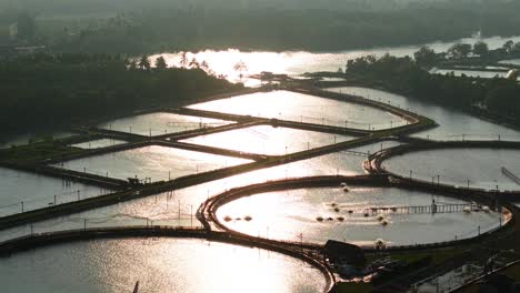 aerial view of a fish farm with rectangular and circular ponds