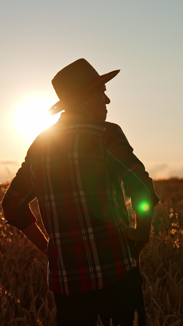 Farmer in a Wheat Field at Sunset