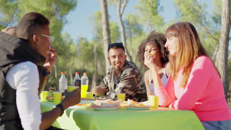 friends enjoying an outdoor picnic together