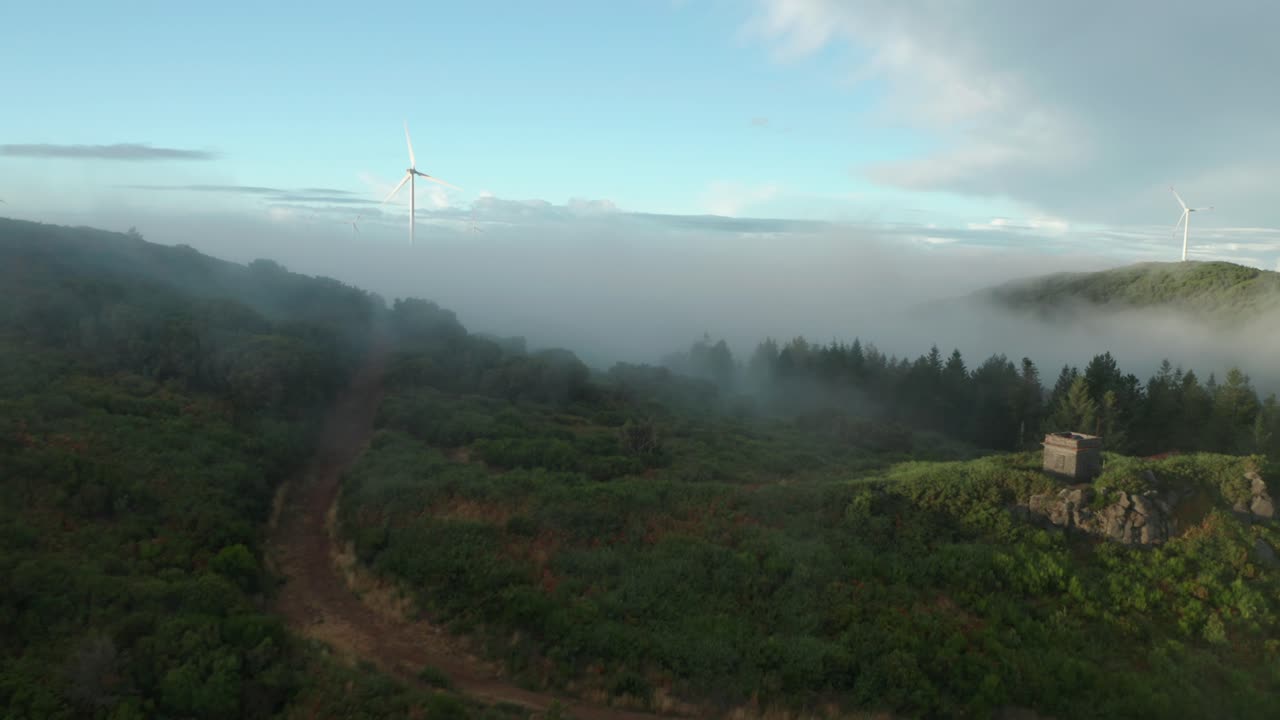 niebla de ensueño sobre el bosque siempre verde en la cima de las montañas con turbinas eólicas, drones