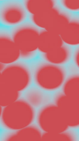 abstract blurred circles in magenta and cyan