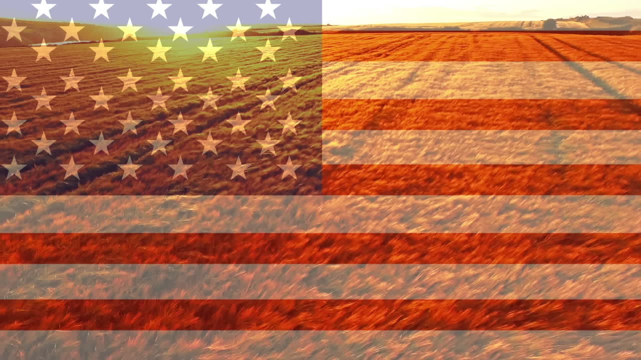 vídeo de la bandera estadounidense