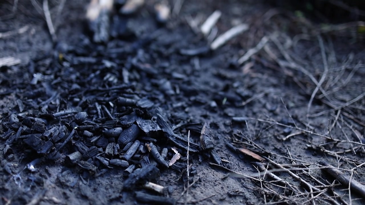 Moody footage of extinguished campfire remains on a dirt trail at Mt Lofty, surrounded by burnt wood, blackened ash, and dense green grass. Natural daylight, steady camera, wide view.