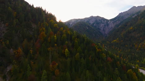 Rising-above-Austrian-forested-alpine-Tyrol-mountains-with-sunrise-reveal-aerial-view