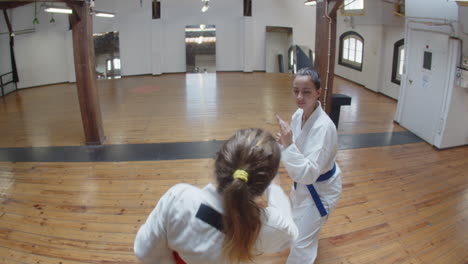 shot of focused fighting girls from above