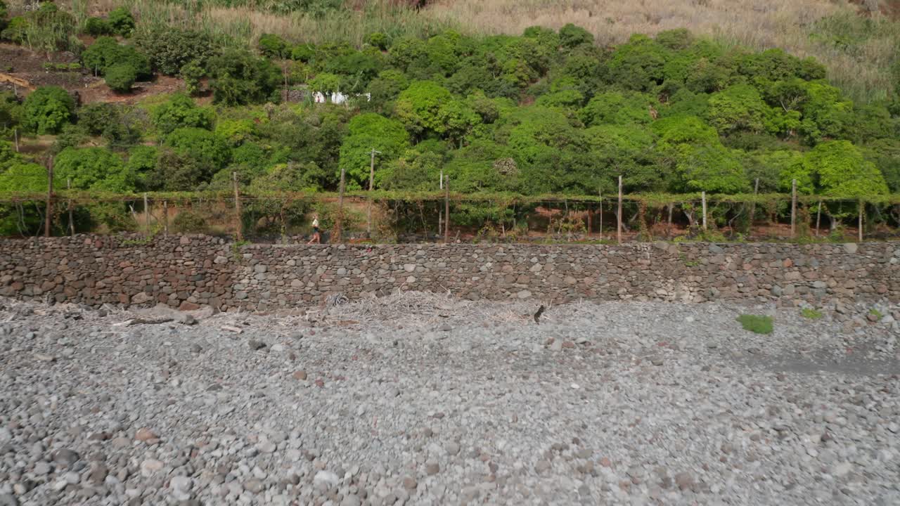 파자 도스 파드레스의 목가적인 해안에 있는 농장의 덩굴 아래를 걷는 여성 여행자