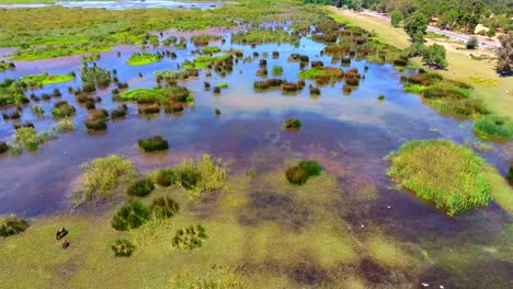 aerial-shot-of-the-el-kala-wetland-Algeria