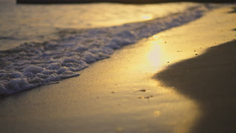 waves on the shore at golden hour