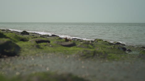 pequeñas olas rompen en la costa rocosa, cámara lenta