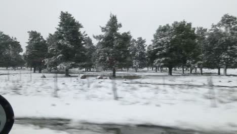 View-out-car-passenger-window-while-driving-of-snow-covered-farmland-and-pastures,-Israel