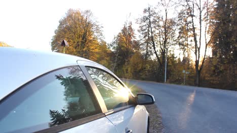 Car-in-woodland-with-sunset-peaking