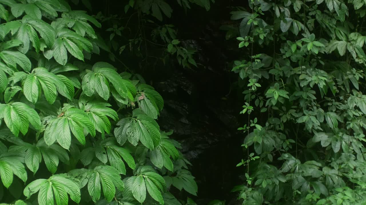 el río pacífico del norte de bali: el refugio tranquilo de la naturaleza