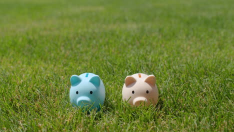 a hand puts coins in two piggy banks that stand on green grass. family budget concept