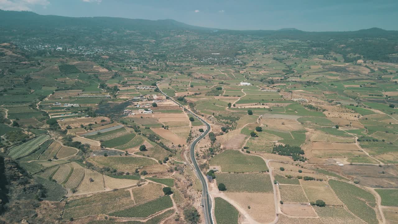 vista aérea de la agricultura de cactus y nopal en el campo mexicano