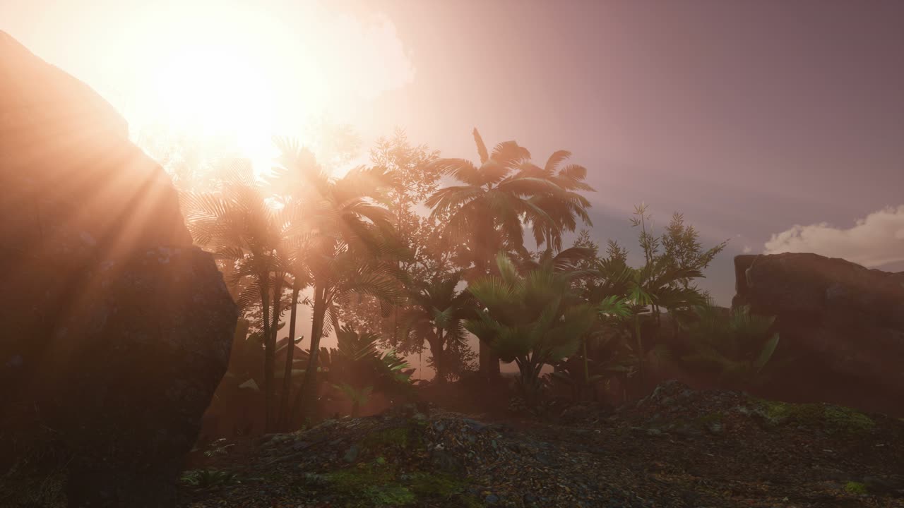 ヤシの木を通り抜ける夕日の光