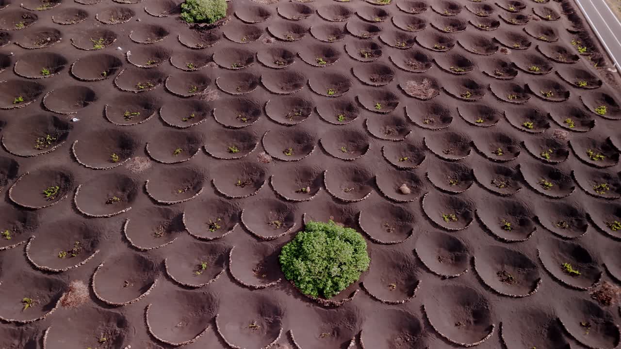 La Geria is a unique wine-growing region in Lanzarote, part of the Canary Islands, Spain, known for its striking landscape shaped by volcanic activity.